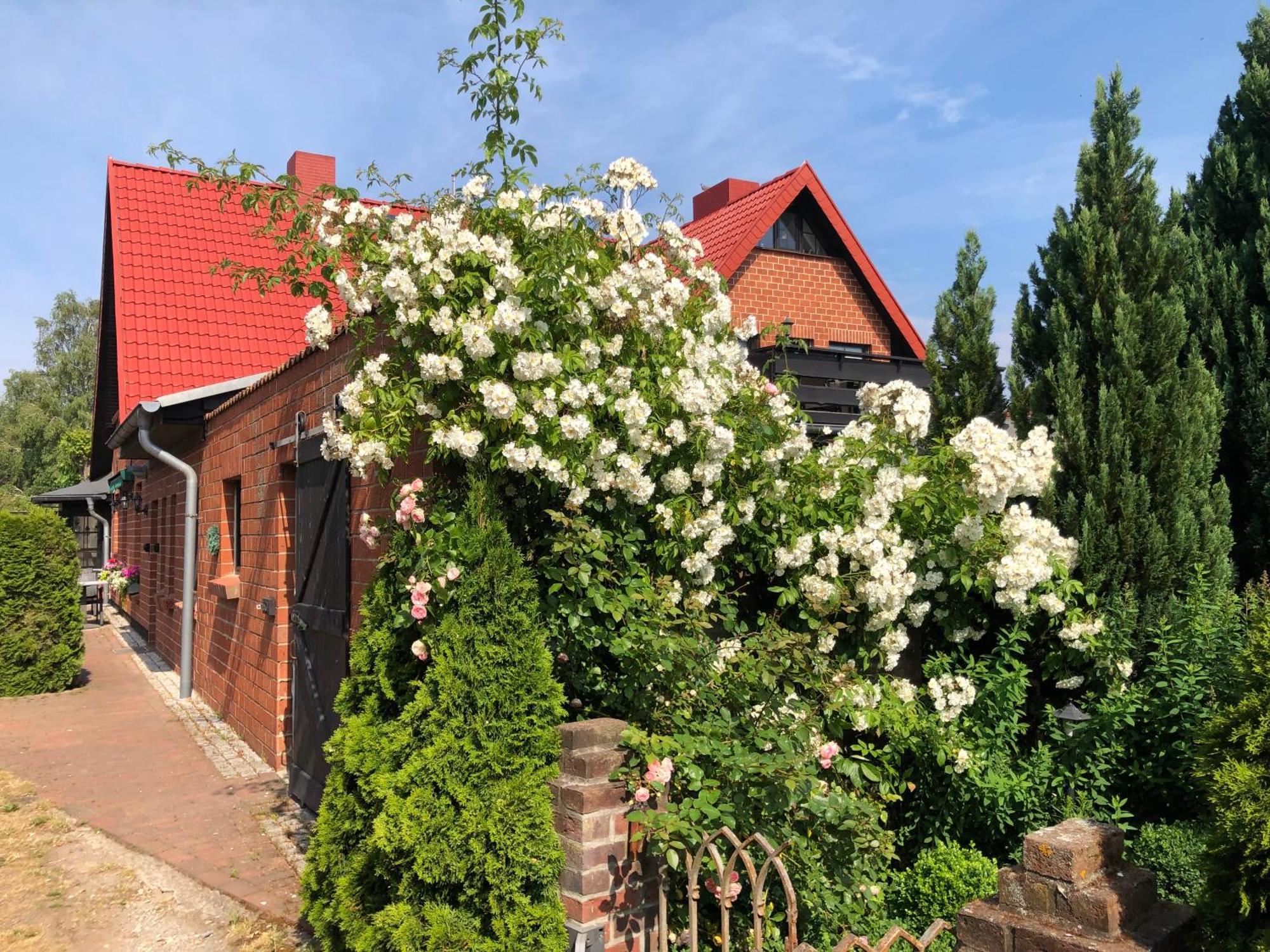 Landhaus Schlunt Вустров Екстер'єр фото